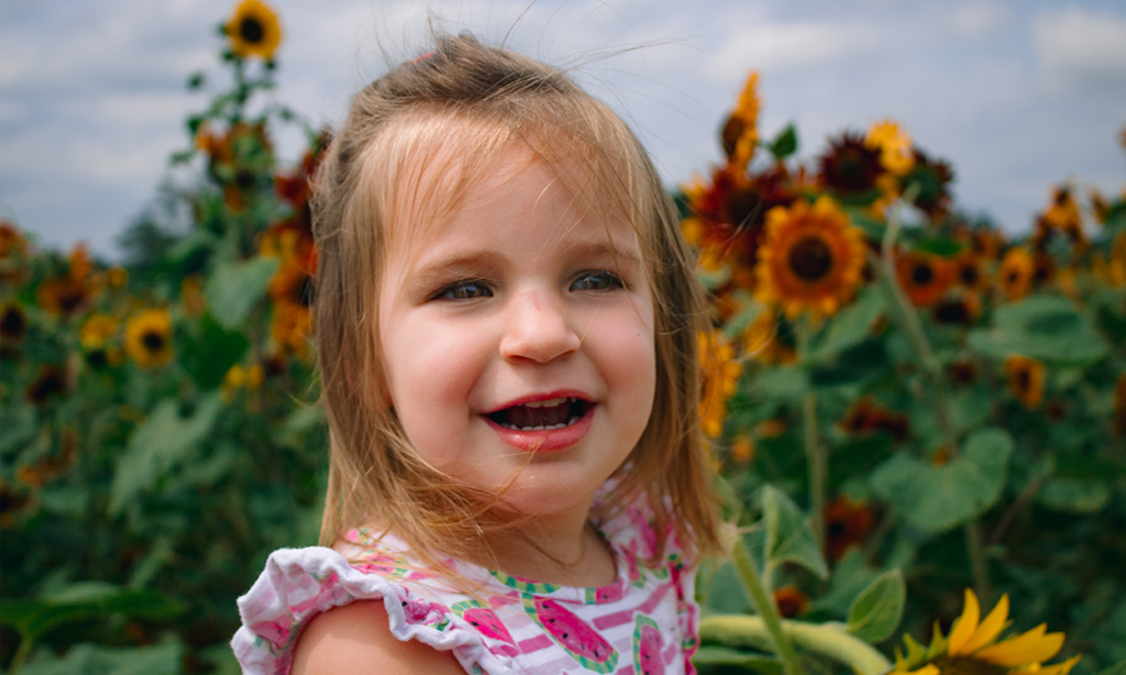little girl portrait in a sunflower field